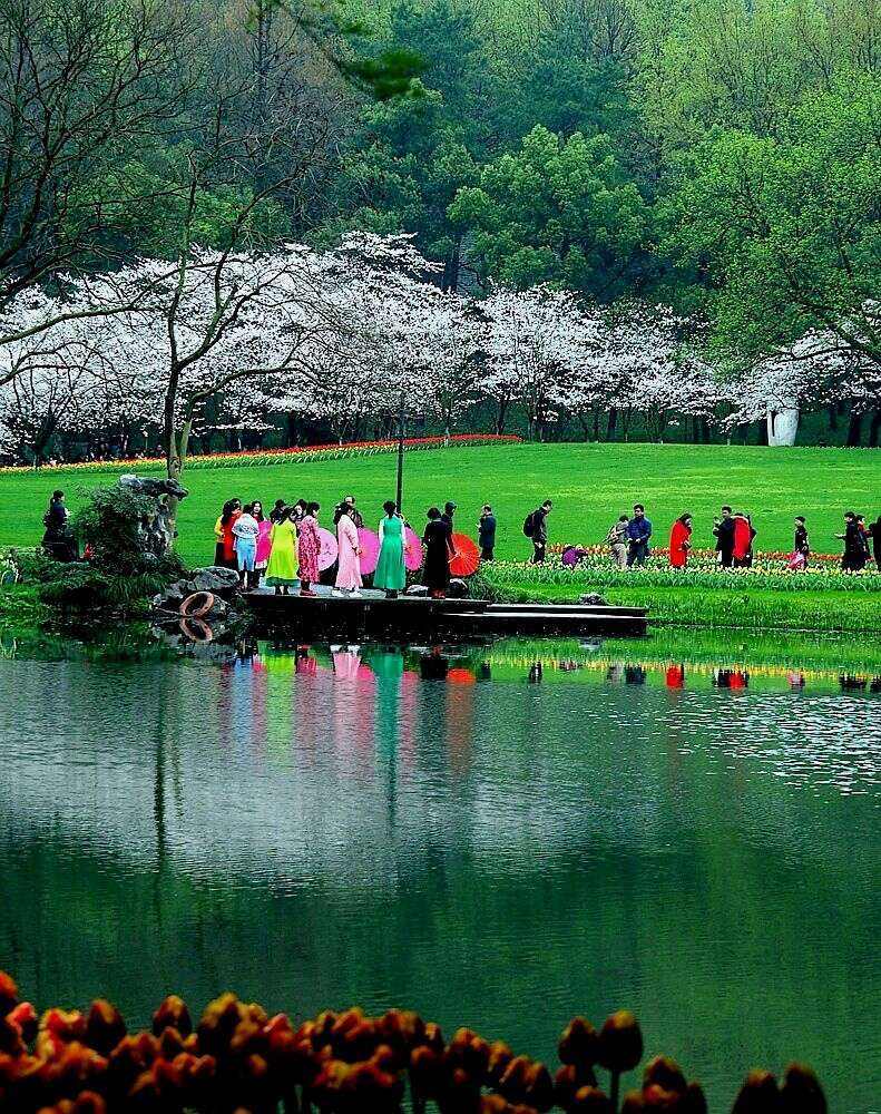 西湖太子湾手机版杭州西湖风景名胜区太子湾