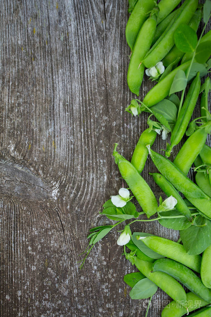 豌豆夹苹果版豌豆荚客户端苹果