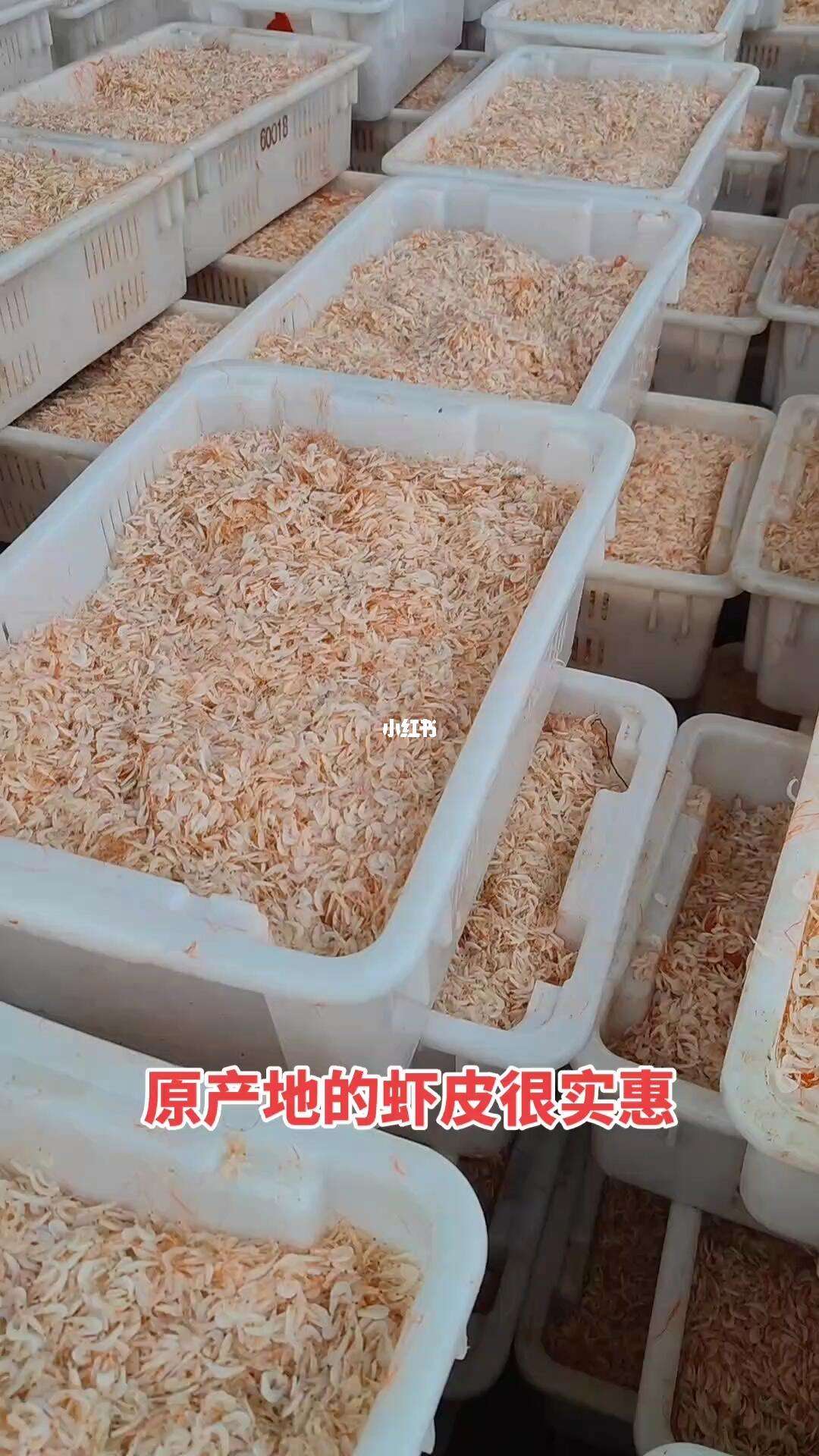 手机版虾皮无法登陆虾皮账号被禁用还能找的回来吗