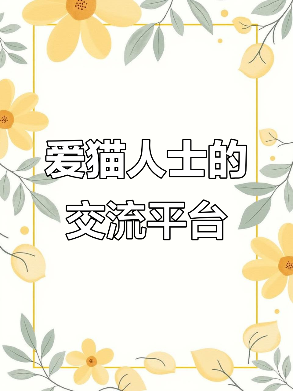 猫咪社区苹果版app破解vip版的简单介绍-第15张图片-有道翻译官网 猫咪社区苹果版app破解vip版的简单介绍-第15张图片-有道翻译官网