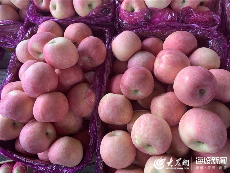 全民大丰收红包版苹果版(全民大丰收红包版2020)-第6张图片-有道翻译官网 全民大丰收红包版苹果版(全民大丰收红包版2020)-第6张图片-有道翻译官网