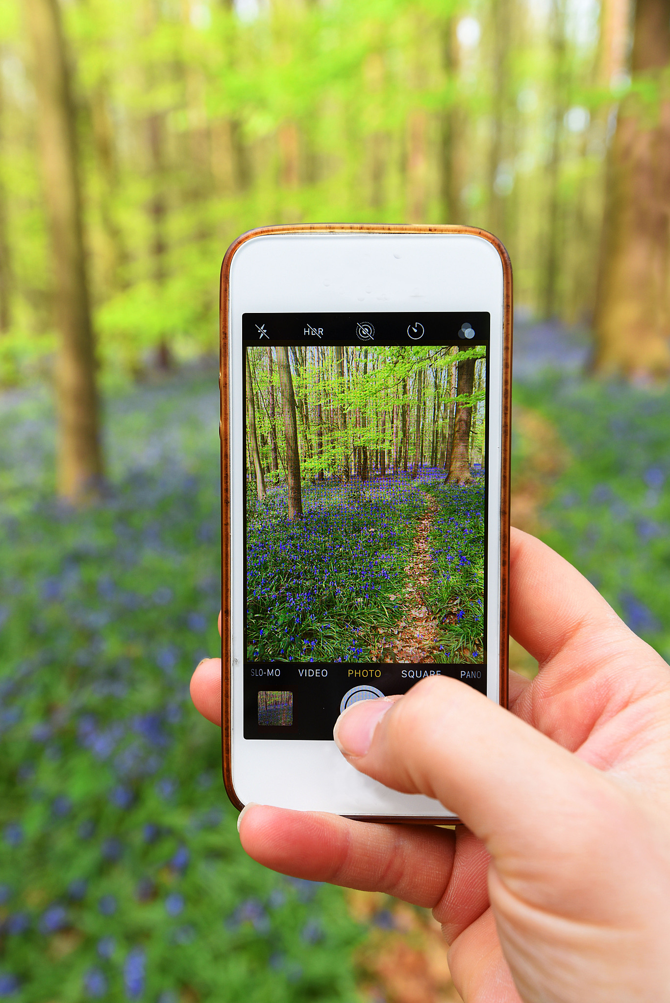 摄影苹果版手机助理(摄影苹果版手机助理软件)-第14张图片-有道翻译官网