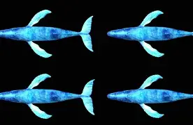 蓝鲸鱼钱包苹果版(购宝钱包苹果版)-第5张图片-有道翻译官网